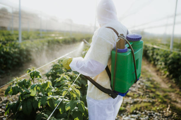  Coronado, CA Pest Control Pros